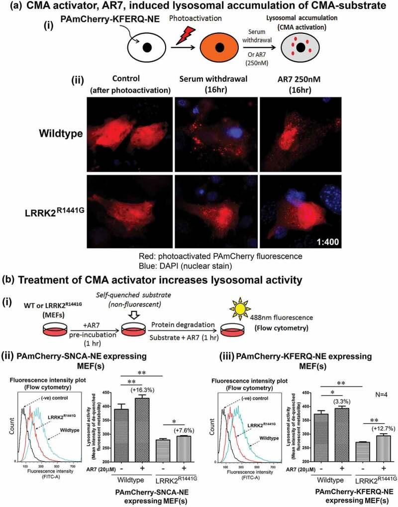 https://cdn.ncbi.nlm.nih.gov/pmc/blobs/1730/6984454/1b80c5d300c3/kaup-16-02-1603545-g009.jpg