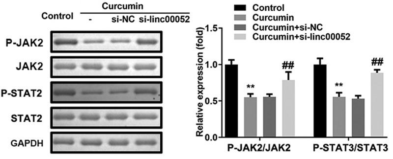 https://cdn.ncbi.nlm.nih.gov/pmc/blobs/1732/9208441/afd4d7c8daff/KBIE_A_2066760_F0007_B.jpg