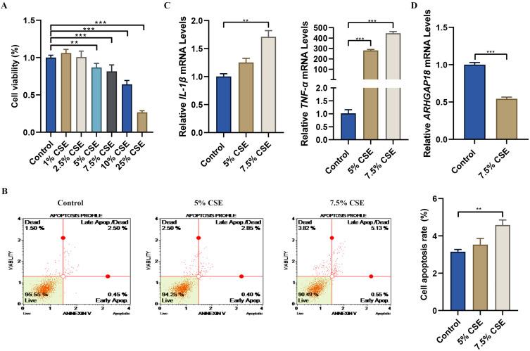 https://cdn.ncbi.nlm.nih.gov/pmc/blobs/1734/12282545/11068f0002de/COPD-20-2525-g0002.jpg