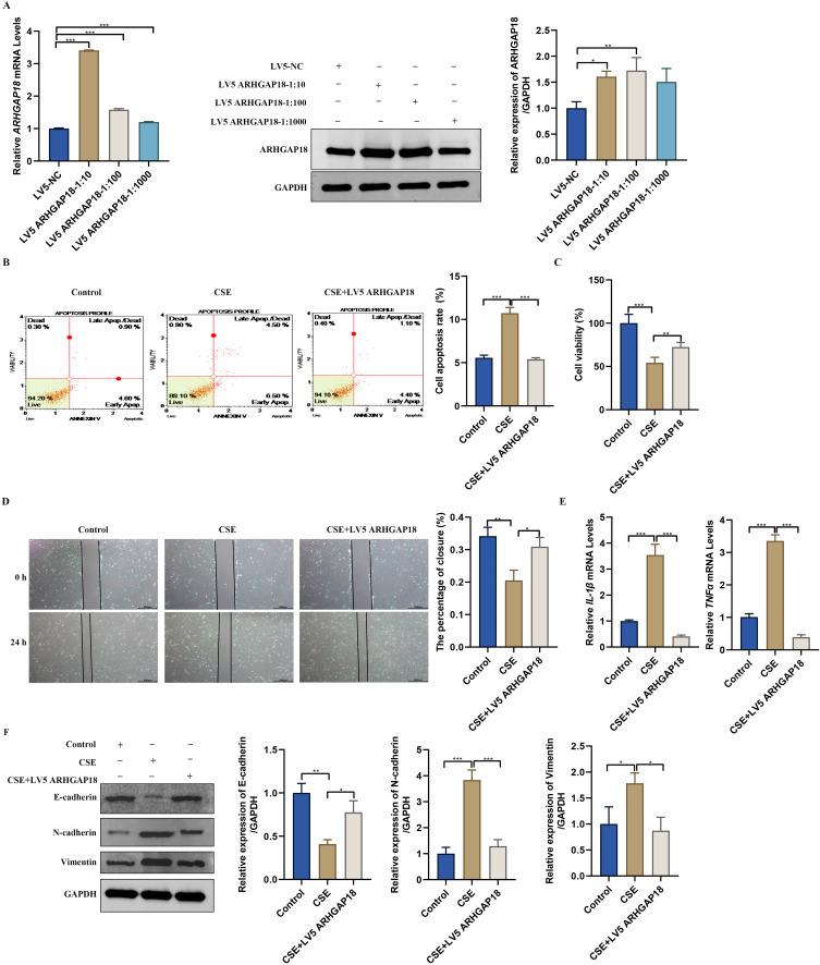 https://cdn.ncbi.nlm.nih.gov/pmc/blobs/1734/12282545/3c66044599d0/COPD-20-2525-g0003.jpg