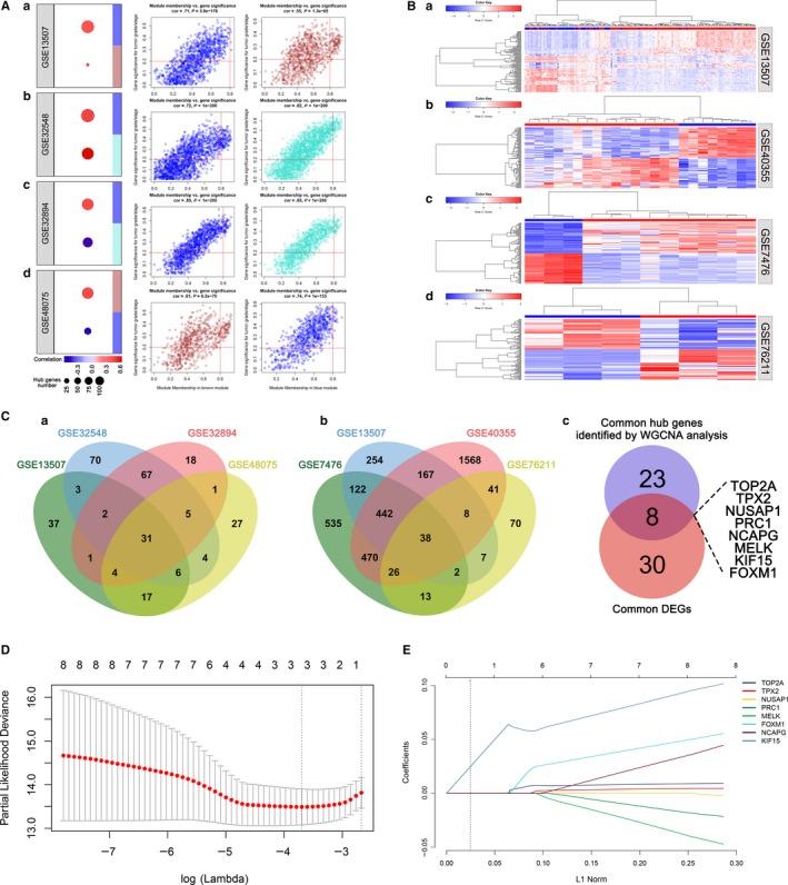 https://cdn.ncbi.nlm.nih.gov/pmc/blobs/1734/7011142/1218b1c10893/JCMM-24-2342-g002.jpg