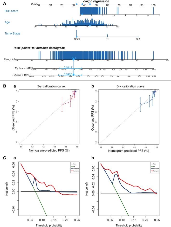 https://cdn.ncbi.nlm.nih.gov/pmc/blobs/1734/7011142/3e9f3ca916b8/JCMM-24-2342-g007.jpg
