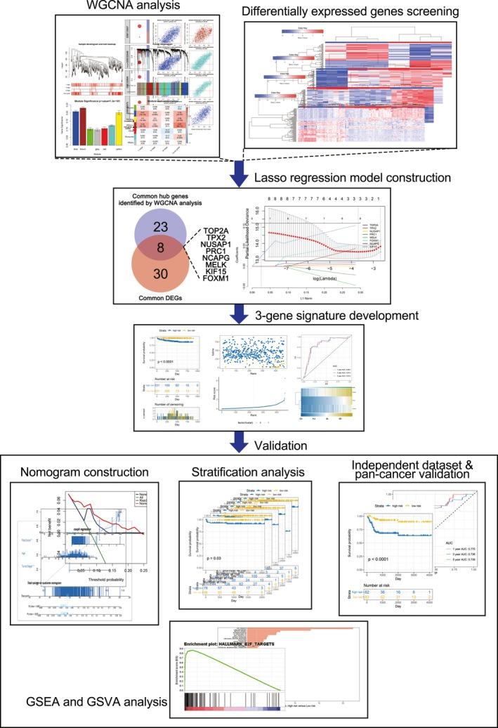 https://cdn.ncbi.nlm.nih.gov/pmc/blobs/1734/7011142/f8daffddd284/JCMM-24-2342-g001.jpg