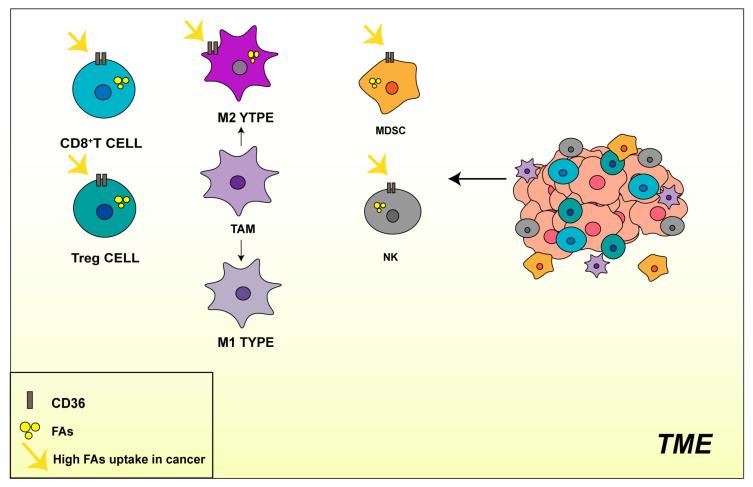 https://cdn.ncbi.nlm.nih.gov/pmc/blobs/1736/10819246/4d5892504ca8/molecules-29-00531-g004.jpg