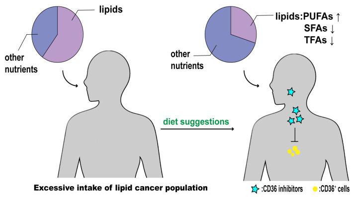 https://cdn.ncbi.nlm.nih.gov/pmc/blobs/1736/10819246/8027bfaf398d/molecules-29-00531-g005.jpg