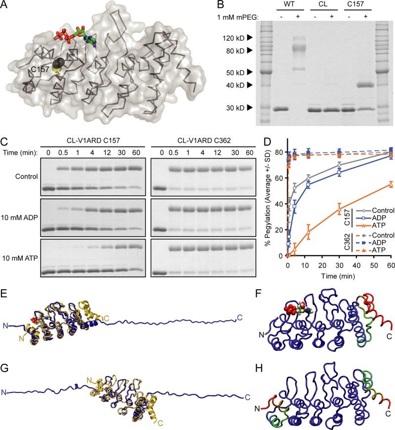 https://cdn.ncbi.nlm.nih.gov/pmc/blobs/1737/3413242/e1787ecc47b3/bi-2012-00279b_0003.jpg