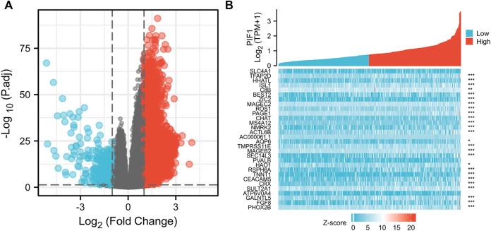 https://cdn.ncbi.nlm.nih.gov/pmc/blobs/1737/9847676/1973f026cd73/fgene-13-1058040-g006.jpg