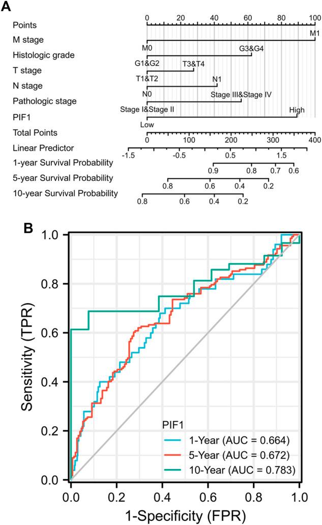 https://cdn.ncbi.nlm.nih.gov/pmc/blobs/1737/9847676/d334ec2f4755/fgene-13-1058040-g005.jpg