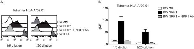 https://cdn.ncbi.nlm.nih.gov/pmc/blobs/1739/6753332/0d9e5fffbea6/fimmu-10-02209-g0006.jpg
