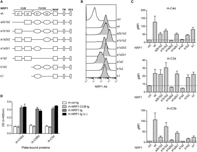 https://cdn.ncbi.nlm.nih.gov/pmc/blobs/1739/6753332/629983d0e1d1/fimmu-10-02209-g0005.jpg