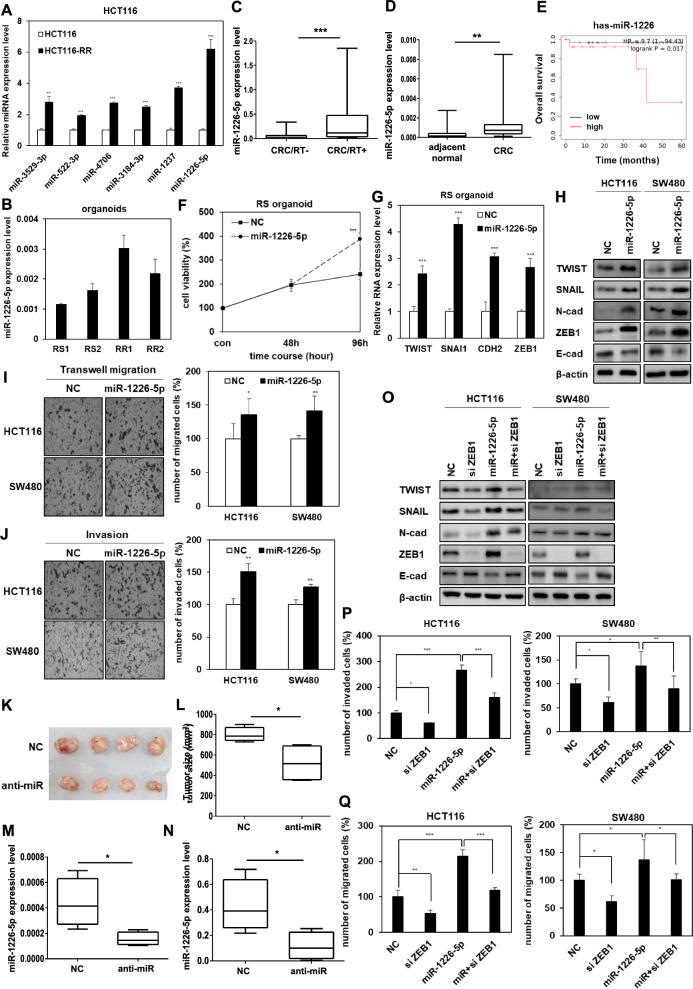 https://cdn.ncbi.nlm.nih.gov/pmc/blobs/173a/11523791/1c1721a78398/12967_2024_5797_Fig1_HTML.jpg