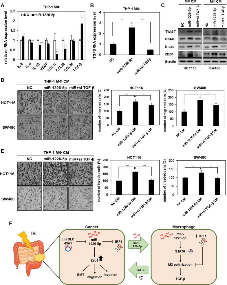 https://cdn.ncbi.nlm.nih.gov/pmc/blobs/173a/11523791/82d602560889/12967_2024_5797_Fig5_HTML.jpg