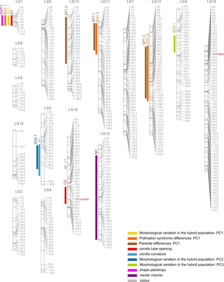 https://cdn.ncbi.nlm.nih.gov/pmc/blobs/173a/4476130/f55515cd1c19/peerj-03-1028-g006.jpg