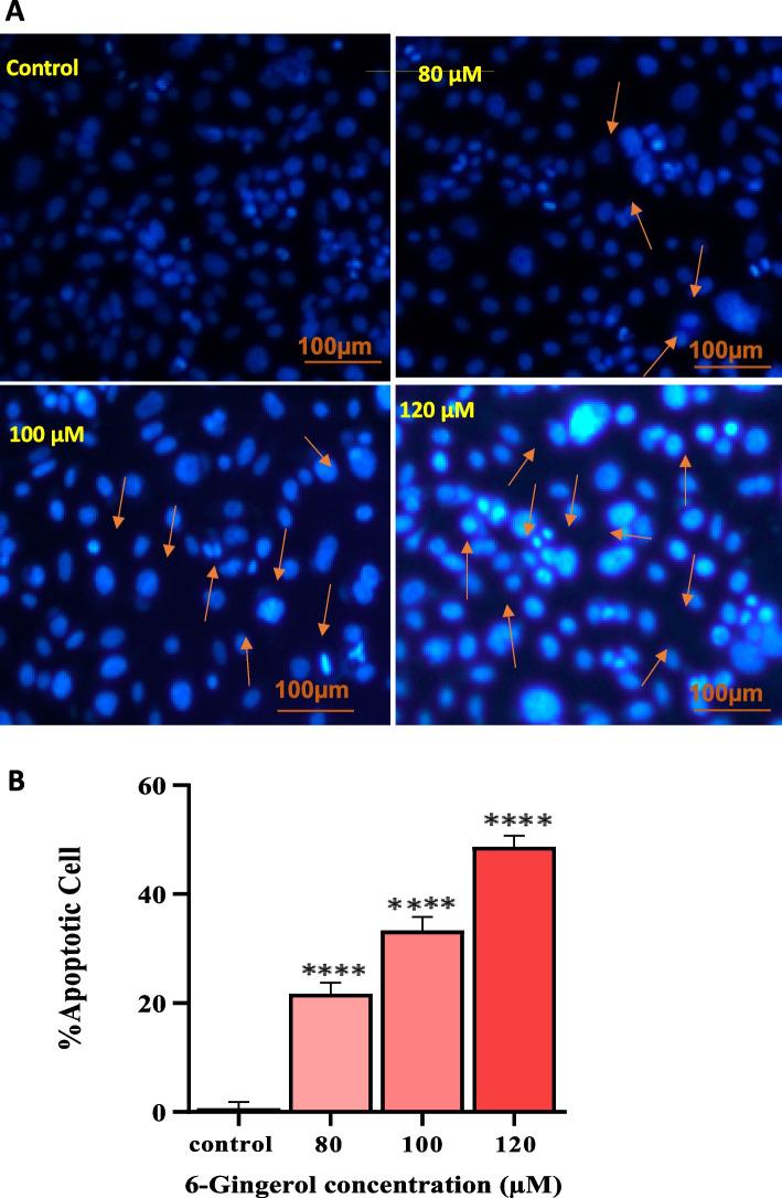https://cdn.ncbi.nlm.nih.gov/pmc/blobs/173e/10759763/986c00fd823a/12906_2023_4269_Fig9_HTML.jpg