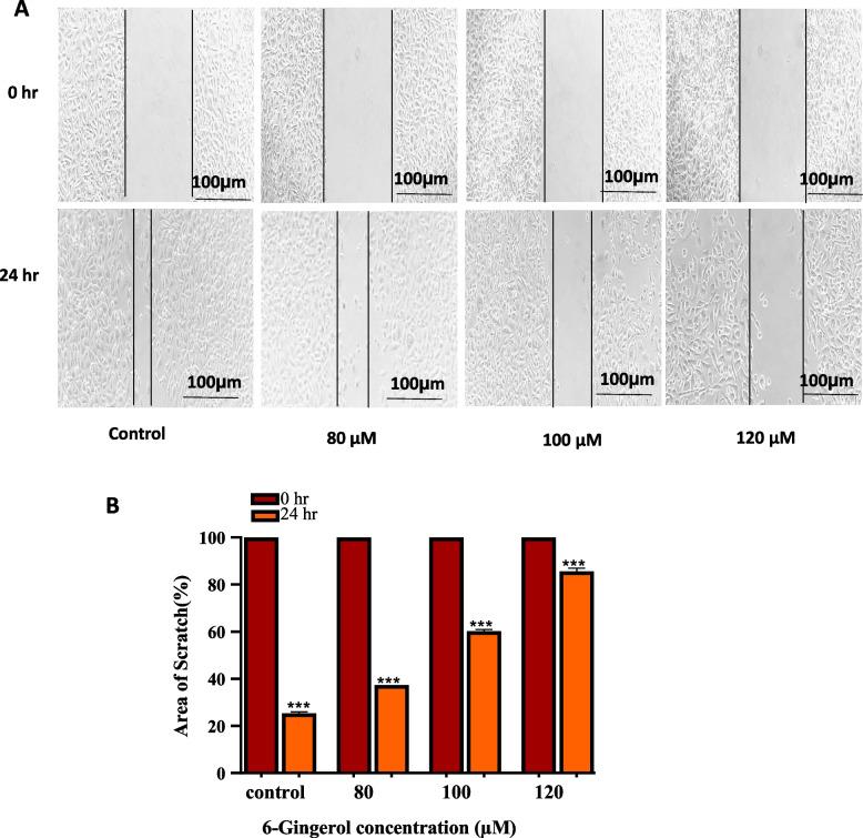 https://cdn.ncbi.nlm.nih.gov/pmc/blobs/173e/10759763/f929932f8f74/12906_2023_4269_Fig12_HTML.jpg