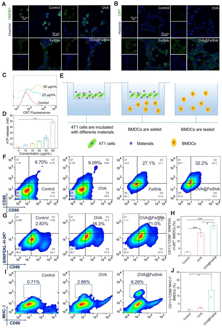 https://cdn.ncbi.nlm.nih.gov/pmc/blobs/1740/10614674/55a4eb6fb201/thnov13p5266g003.jpg