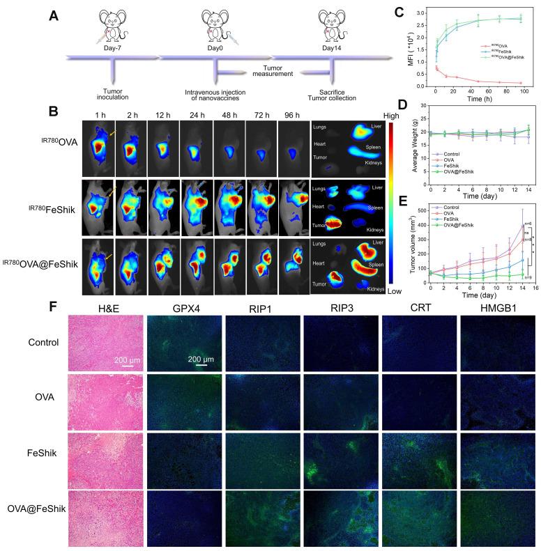 https://cdn.ncbi.nlm.nih.gov/pmc/blobs/1740/10614674/5d56ab315c2a/thnov13p5266g004.jpg