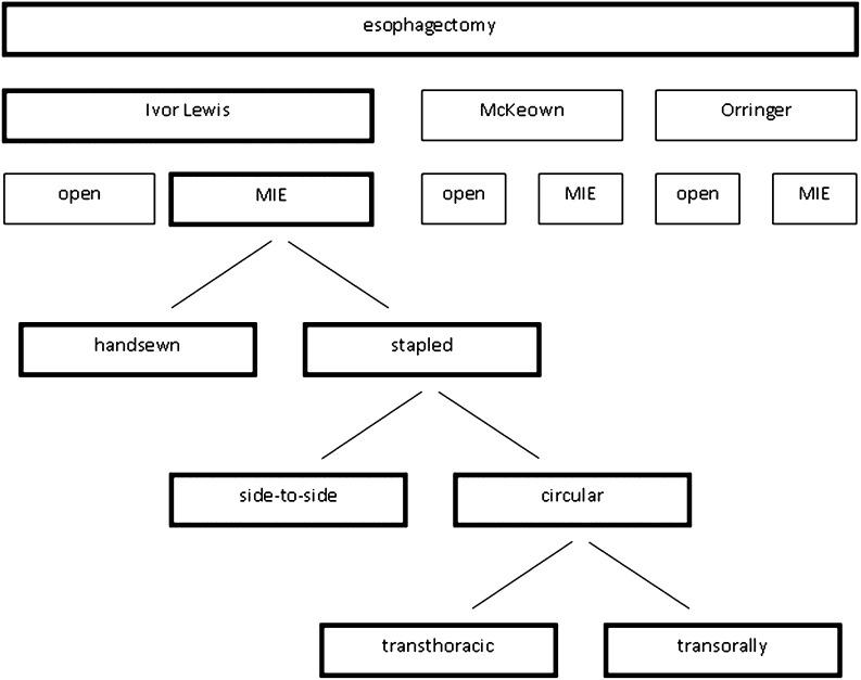 https://cdn.ncbi.nlm.nih.gov/pmc/blobs/1740/3372777/2832deda1dab/464_2012_2149_Fig1_HTML.jpg