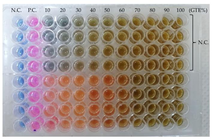 https://cdn.ncbi.nlm.nih.gov/pmc/blobs/1744/10885950/f72a12dcbbb0/antibiotics-13-00181-g002.jpg
