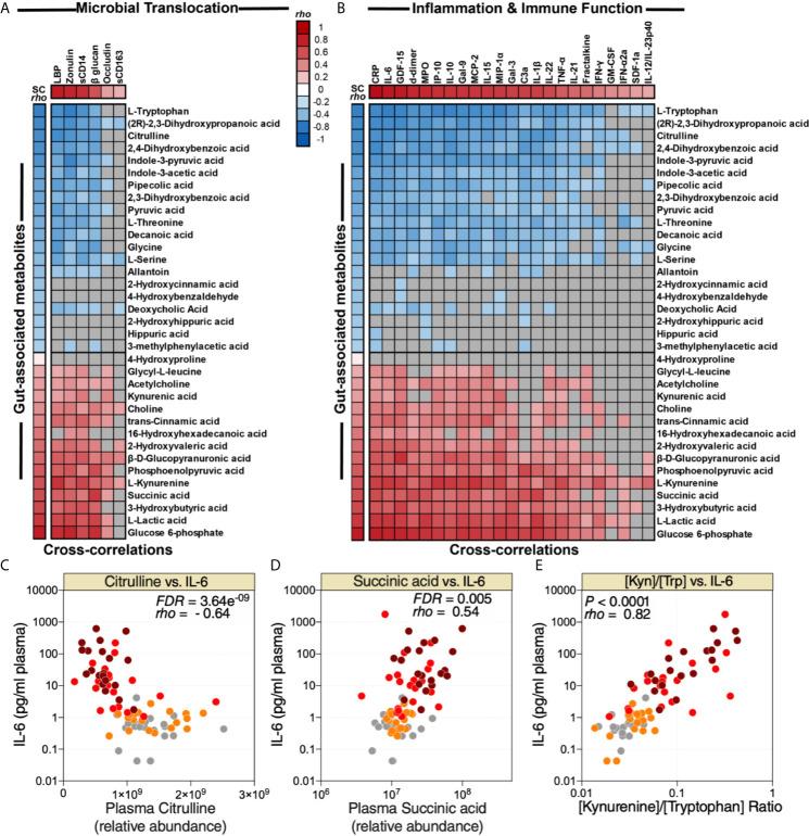 https://cdn.ncbi.nlm.nih.gov/pmc/blobs/1744/8219958/f2a7f68057c4/fimmu-12-686240-g004.jpg