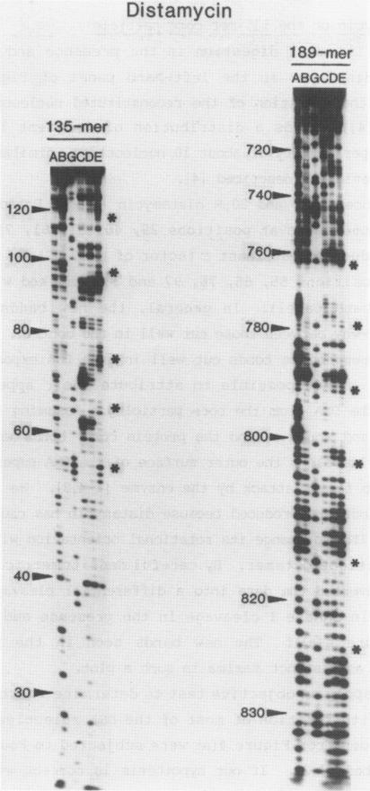 https://cdn.ncbi.nlm.nih.gov/pmc/blobs/1749/340496/46c3d594ab83/nar00247-0031-a.jpg