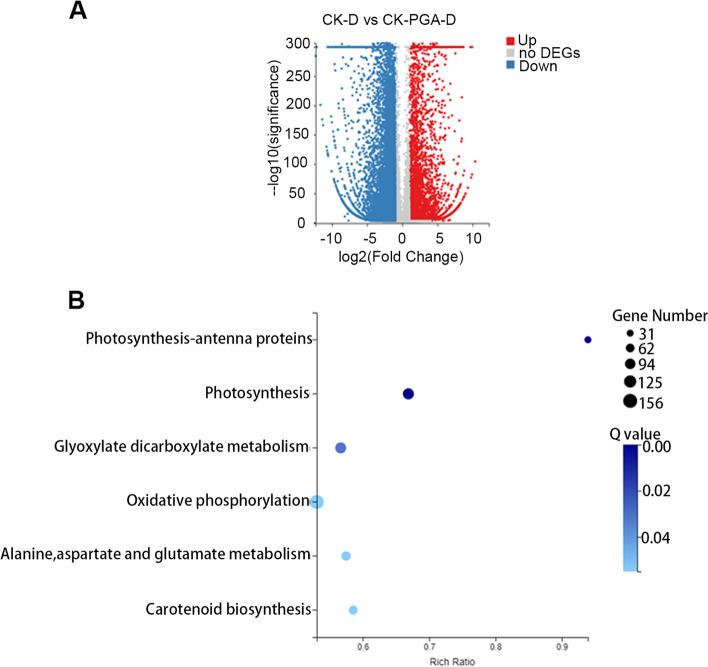 https://cdn.ncbi.nlm.nih.gov/pmc/blobs/174b/8722152/49ff629e284b/12870_2021_3392_Fig3_HTML.jpg