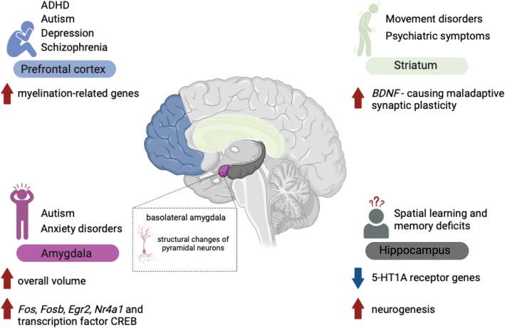 https://cdn.ncbi.nlm.nih.gov/pmc/blobs/174c/12054192/301801cd3444/12916_2025_4093_Fig2_HTML.jpg