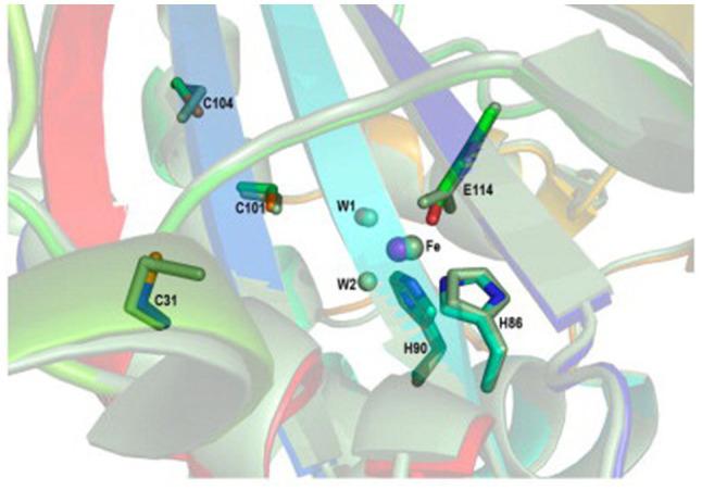https://cdn.ncbi.nlm.nih.gov/pmc/blobs/174d/8551704/f80f579cbeaf/fmicb-12-768283-g004.jpg