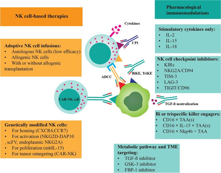 https://cdn.ncbi.nlm.nih.gov/pmc/blobs/174d/9701052/56d6fcc55c57/12885_2022_10320_Fig2_HTML.jpg