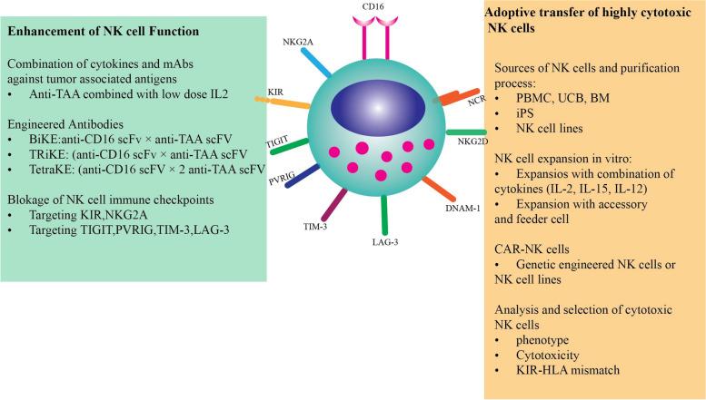 https://cdn.ncbi.nlm.nih.gov/pmc/blobs/174d/9701052/7e49f6ebddd4/12885_2022_10320_Fig3_HTML.jpg