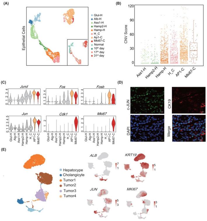 https://cdn.ncbi.nlm.nih.gov/pmc/blobs/174d/9790314/4a304bc65a0b/HEP-76-1302-g002.jpg