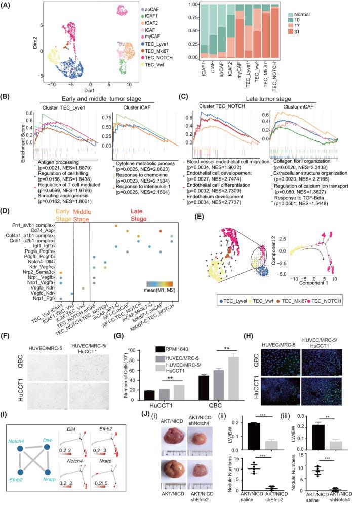 https://cdn.ncbi.nlm.nih.gov/pmc/blobs/174d/9790314/aadbeedd9b11/HEP-76-1302-g005.jpg