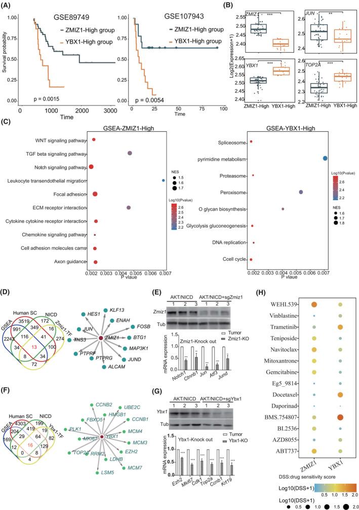 https://cdn.ncbi.nlm.nih.gov/pmc/blobs/174d/9790314/c7178d900fc5/HEP-76-1302-g008.jpg