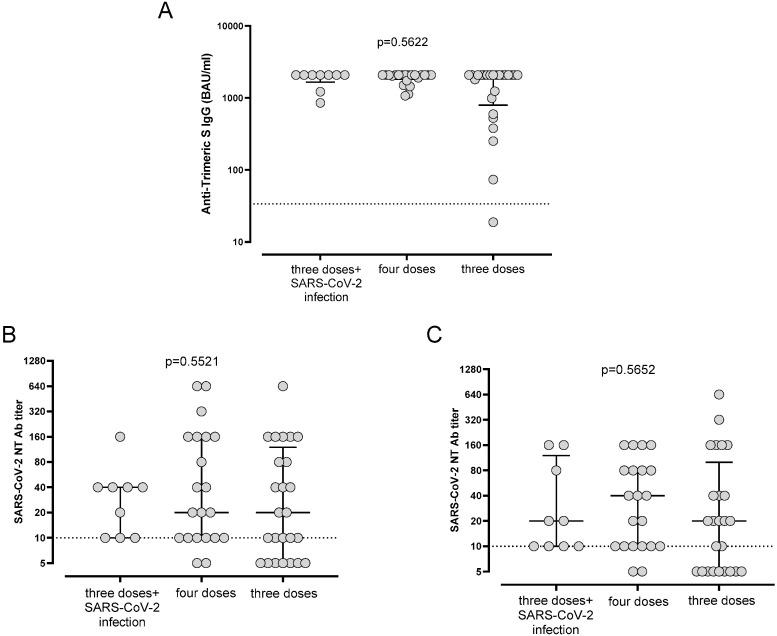 https://cdn.ncbi.nlm.nih.gov/pmc/blobs/174e/10095115/ef5a13961c22/ijms-24-06731-g003.jpg