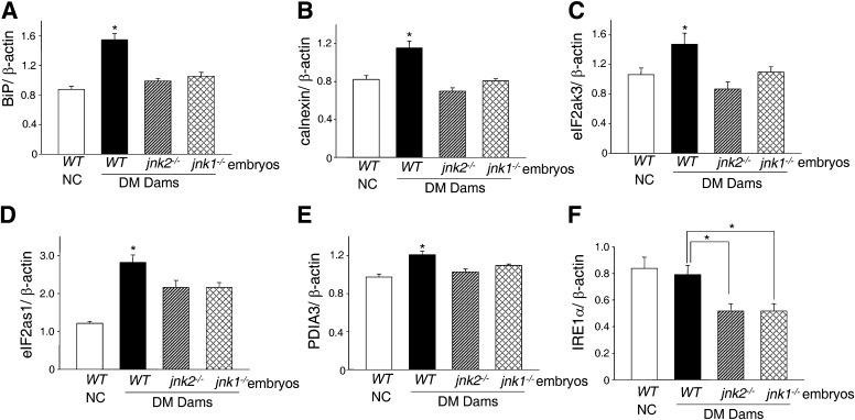 https://cdn.ncbi.nlm.nih.gov/pmc/blobs/174f/3554374/077777692522/599fig4.jpg
