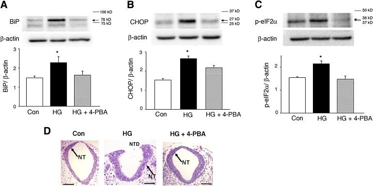 https://cdn.ncbi.nlm.nih.gov/pmc/blobs/174f/3554374/bacd460c397d/599fig5.jpg