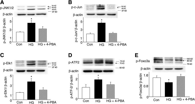 https://cdn.ncbi.nlm.nih.gov/pmc/blobs/174f/3554374/c338a3667223/599fig6.jpg