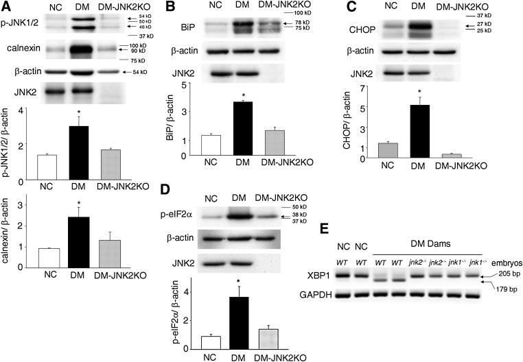 https://cdn.ncbi.nlm.nih.gov/pmc/blobs/174f/3554374/d7f7b2c4efee/599fig3.jpg
