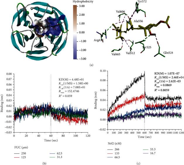 https://cdn.ncbi.nlm.nih.gov/pmc/blobs/174f/7972864/51a750adff6e/OMCL2021-6688708.002.jpg