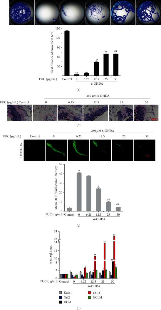 https://cdn.ncbi.nlm.nih.gov/pmc/blobs/174f/7972864/c46d5997e7e8/OMCL2021-6688708.006.jpg