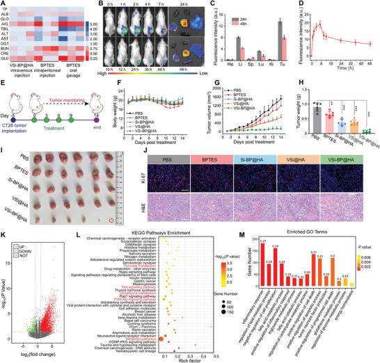 https://cdn.ncbi.nlm.nih.gov/pmc/blobs/1750/11831457/6de8cc7e991c/ADVS-12-2409329-g004.jpg
