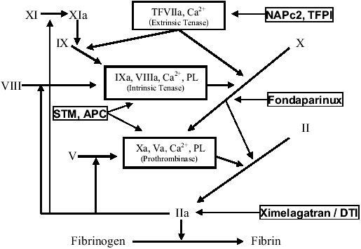 https://cdn.ncbi.nlm.nih.gov/pmc/blobs/1750/1993925/3e01e3870cda/vhrm0101-041-f1.jpg