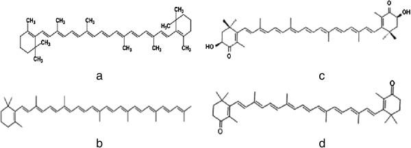 https://cdn.ncbi.nlm.nih.gov/pmc/blobs/1751/3922794/73f2de864033/1475-2859-13-12-1.jpg