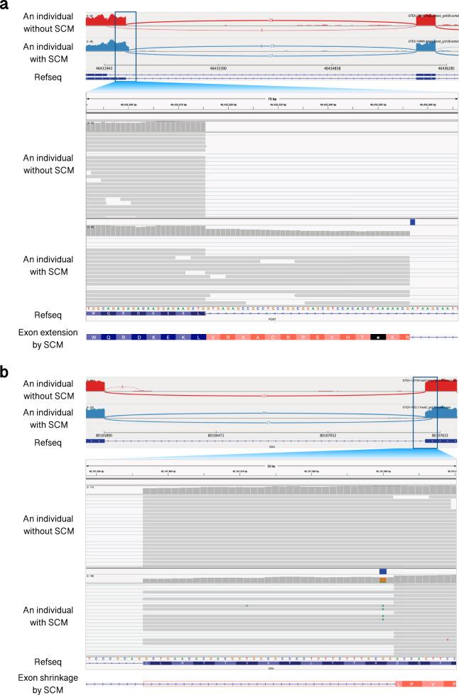 https://cdn.ncbi.nlm.nih.gov/pmc/blobs/1755/8933504/482cf5a6abe2/41525_2022_294_Fig2_HTML.jpg
