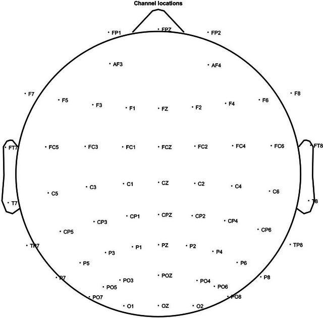 https://cdn.ncbi.nlm.nih.gov/pmc/blobs/1756/10454346/fbe5d8e57129/BRB3-13-e3173-g001.jpg