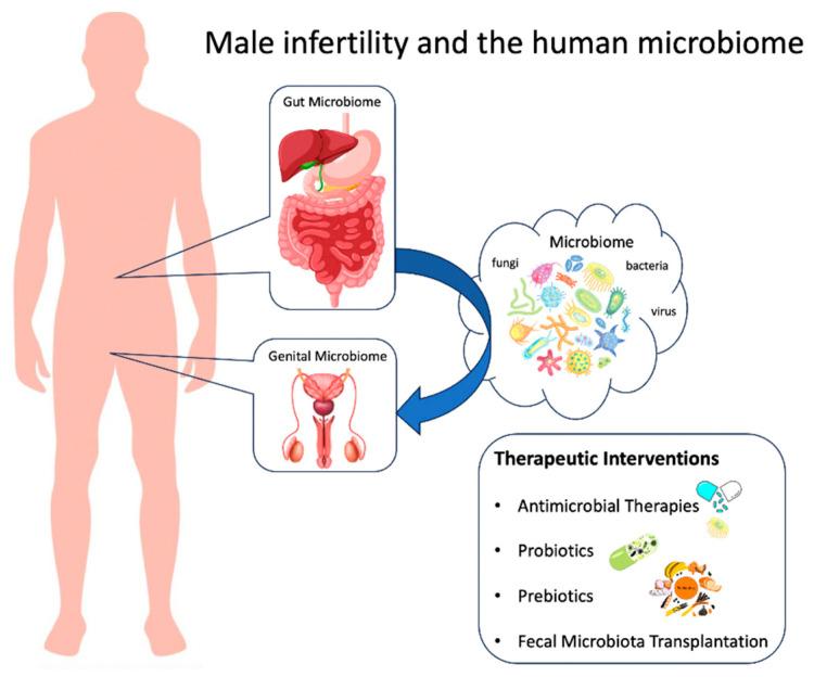 https://cdn.ncbi.nlm.nih.gov/pmc/blobs/1756/10608462/7a63ae5713ff/jpm-13-01491-g001.jpg