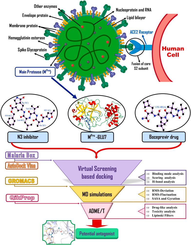 https://cdn.ncbi.nlm.nih.gov/pmc/blobs/1756/7584923/952f257bd3cb/gr1_lrg.jpg