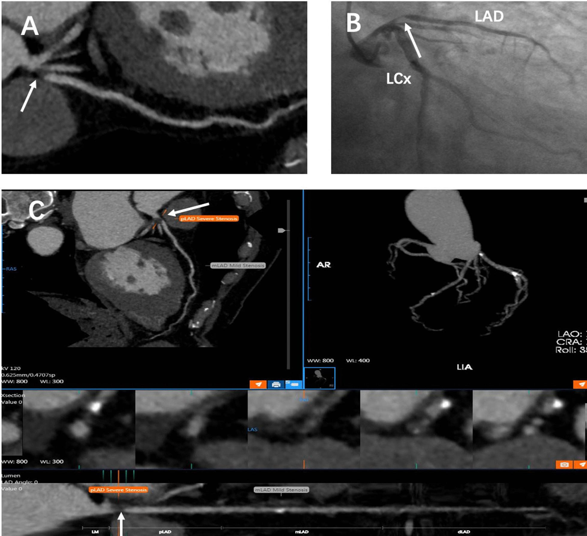 https://cdn.ncbi.nlm.nih.gov/pmc/blobs/1756/8851787/e2c07004cabc/12880_2022_756_Fig2_HTML.jpg