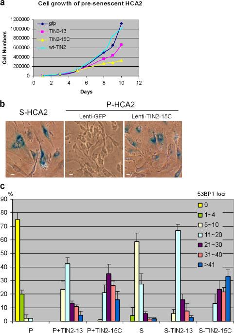https://cdn.ncbi.nlm.nih.gov/pmc/blobs/1757/2364703/296366981c2c/jcb1810447f05.jpg