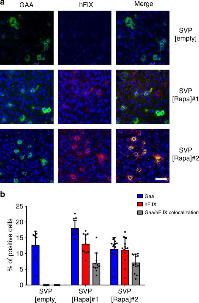 https://cdn.ncbi.nlm.nih.gov/pmc/blobs/1759/6173722/6741e0a7e7a2/41467_2018_6621_Fig3_HTML.jpg